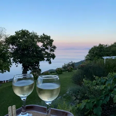 Maistra Τσαγκαράδα