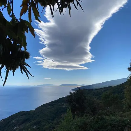 Maistra Ξενοδοχείο