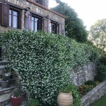 Maistra 3* Τσαγκαράδα