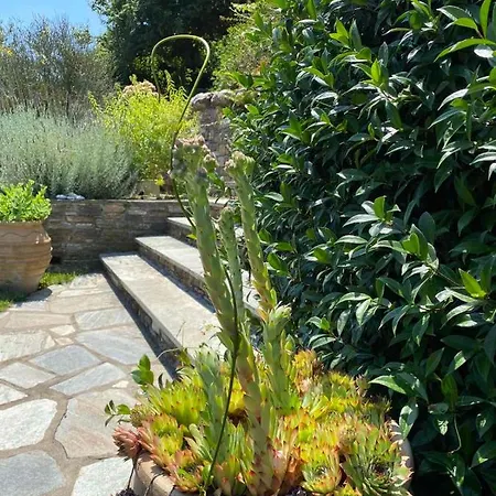 Maistra Ξενοδοχείο Τσαγκαράδα