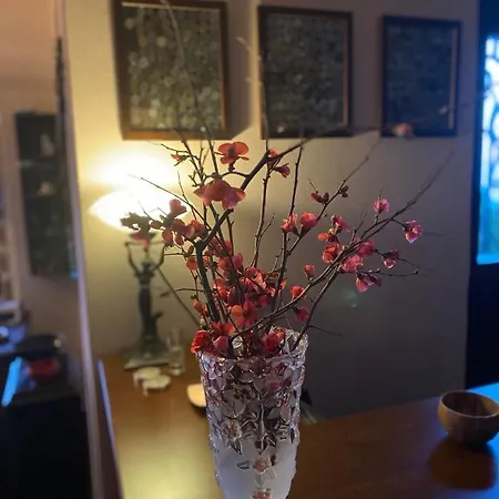 Maistra Ξενοδοχείο Τσαγκαράδα