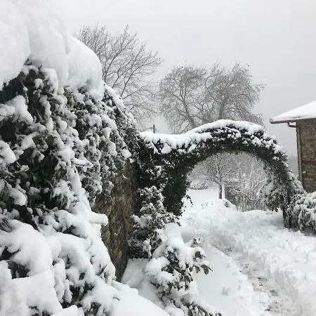 Ξενοδοχείο Maistra 3*