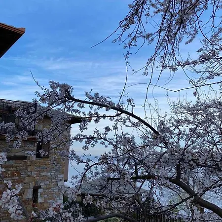 Maistra Ξενοδοχείο Τσαγκαράδα