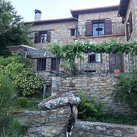 Hotel Maistra