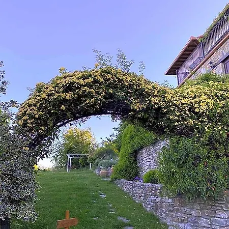 Maistra