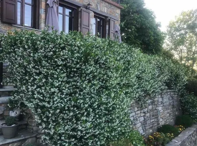 Maistra 3* Tsagarada