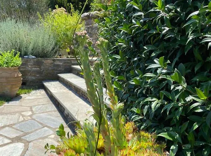 Maistra Hotel Tsagarada